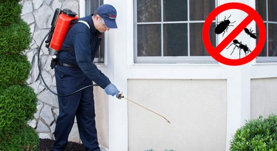 Sakarya Gümüşkurt İlaçlama böcek ilaçlama ve haşere kontrolü — ilaclama-tr.com